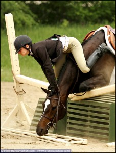 equestrian07 (1)